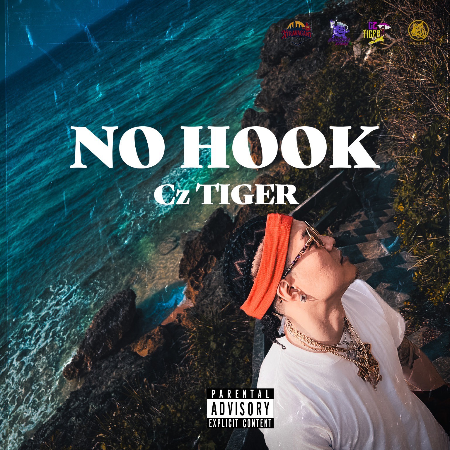 CZ TIGER NO HOOK